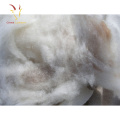 Cabra 100% fibra de lana de cachemira pura de